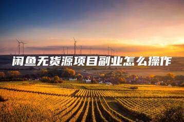 闲鱼无货源项目副业怎么操作-海豚优课资源库