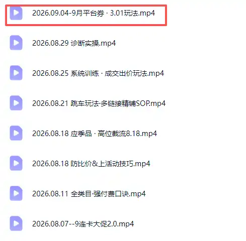 拼多多实战特训营(更新26年9月-海豚优课资源库