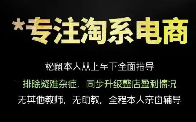 松鼠会电商VIP课程,从基础布局到高阶优化,助你掌握淘宝运营逻辑,提升店铺流量与转化(更新0815)-海豚优课资源库