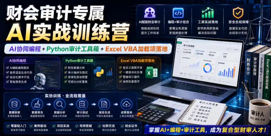 财会审计专属AI实战训练营|AI协同编程+Python审计工具箱+Excel VBA加载项落地(更新0816)-海豚优课资源库