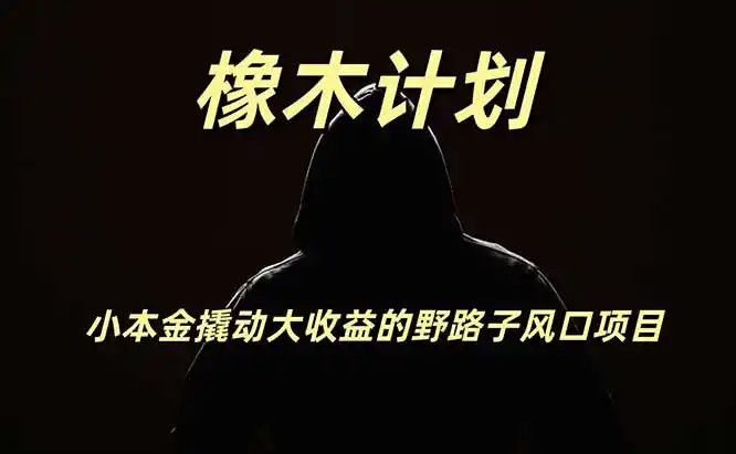 橡木计划,小投入撬动高回报的风口野路子项目,一天投入2小时左右-海豚优课资源库