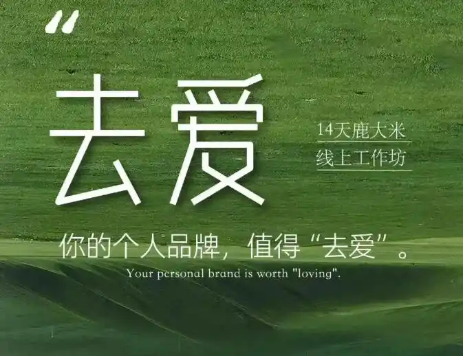 去爱14天鹿大米线上工作坊,你的个人品牌,值得“去爱”-海豚优课资源库