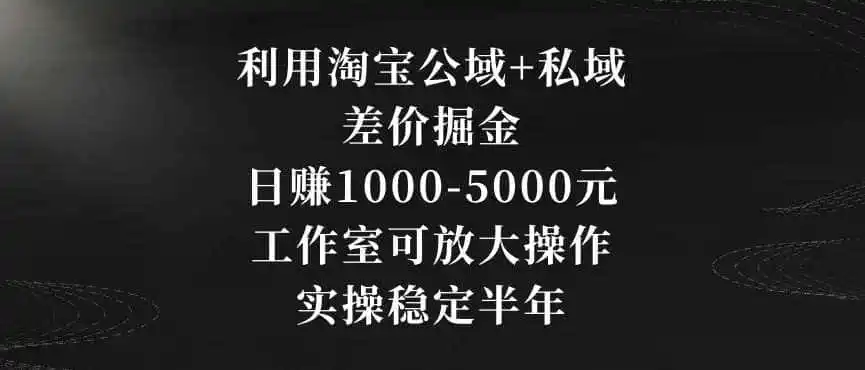 利用淘宝公域+私域差价掘金,日赚1000-5000元,工作室可放大操作,实操稳定半年【揭秘】-海豚优课资源库