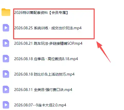 拼多多实战特训营(更新26年0827-海豚优课资源库